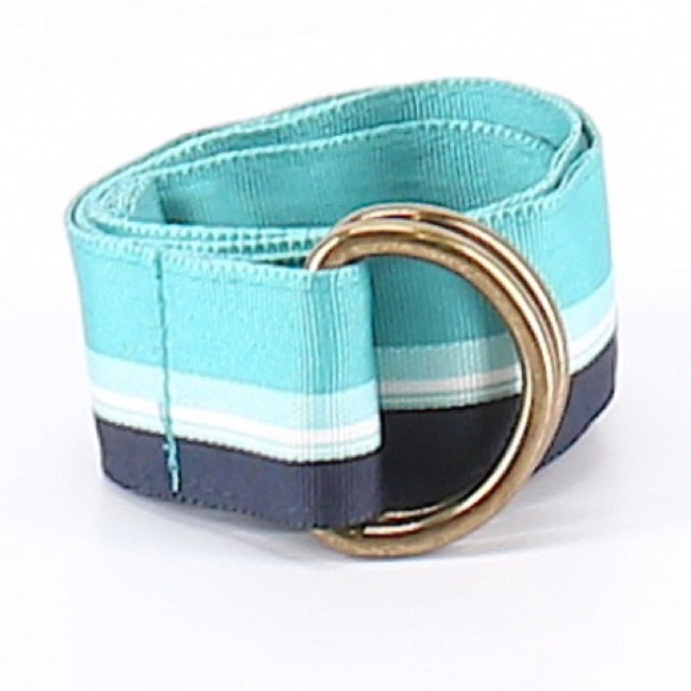 Ribbon belt
